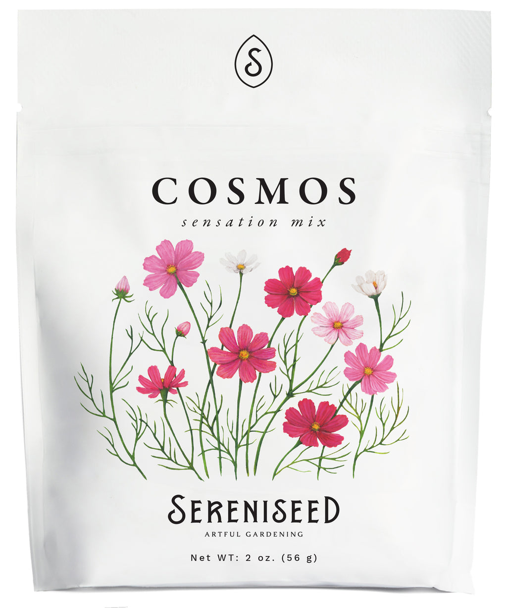 Sensation Mix Cosmos Flower Seeds (2 oz) - 100% Non-GMO, Open Pollinated