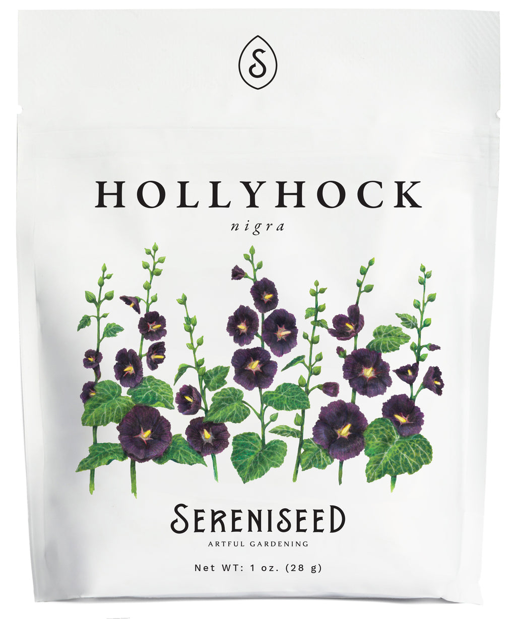 Nigra Hollyhock Flower Seeds (1 oz) - 100% Non-GMO, Open Pollinated