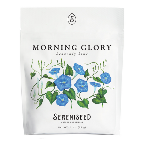 Heavenly Blue Morning Glory Flower Seeds (2 oz) - 100% Non-GMO, Open Pollinated