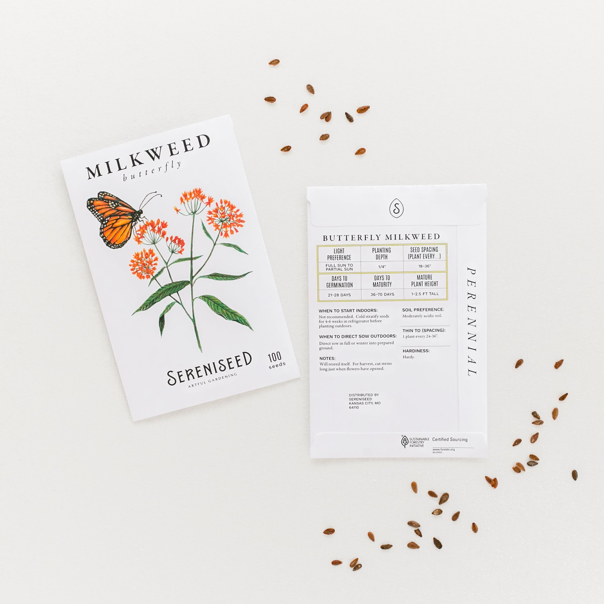 Milkweed Seed Collection (5-Pack)