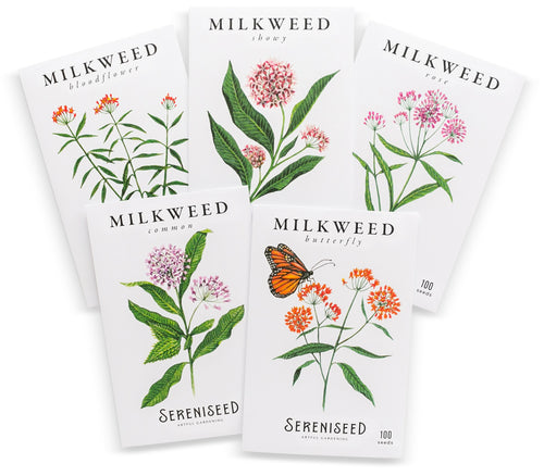 Milkweed Seed Collection (5-Pack)