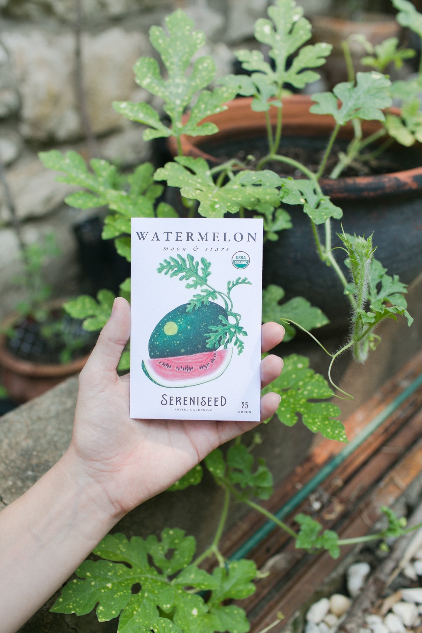 Organic Vegetable Seeds (20-Pack)