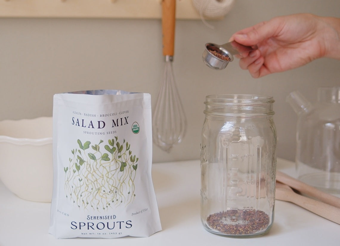 Organic Salad Mix Sprouting Seeds (16 ounce)