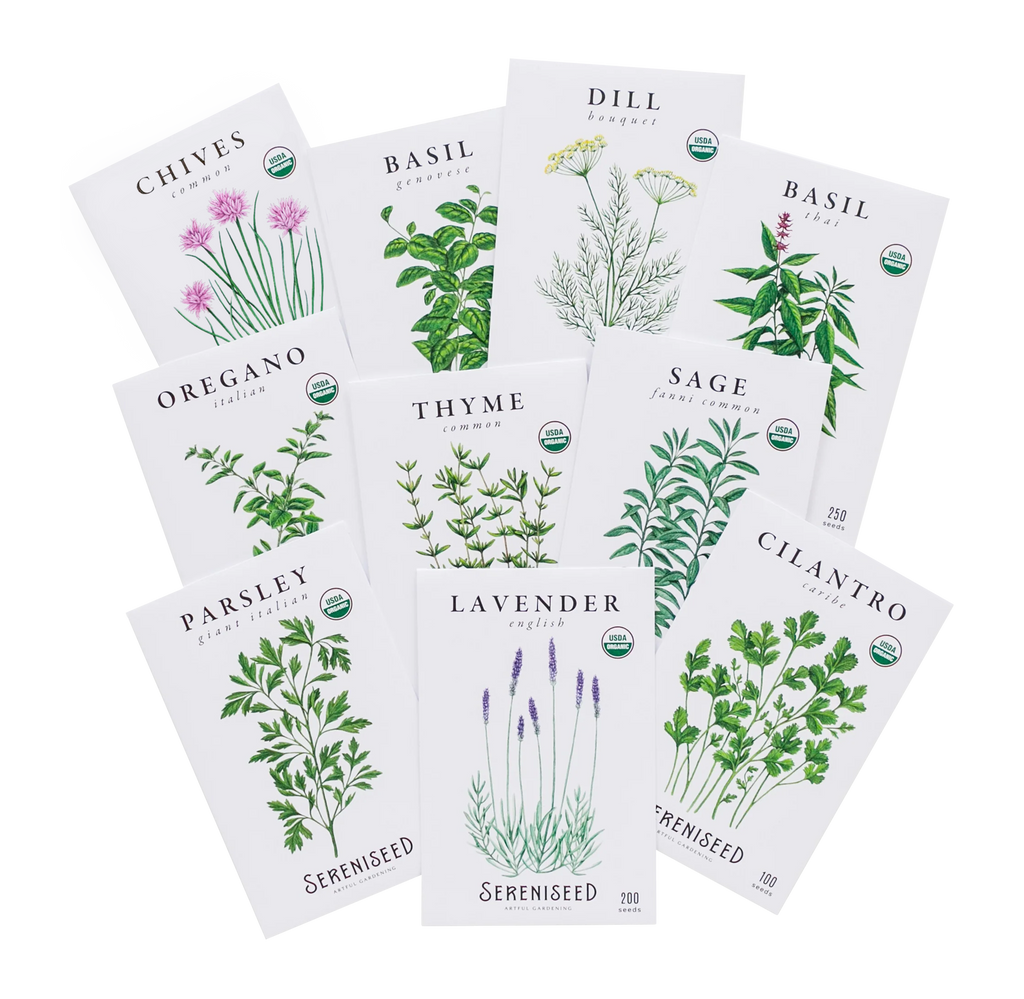 Organic Herb Seeds (10-Pack)