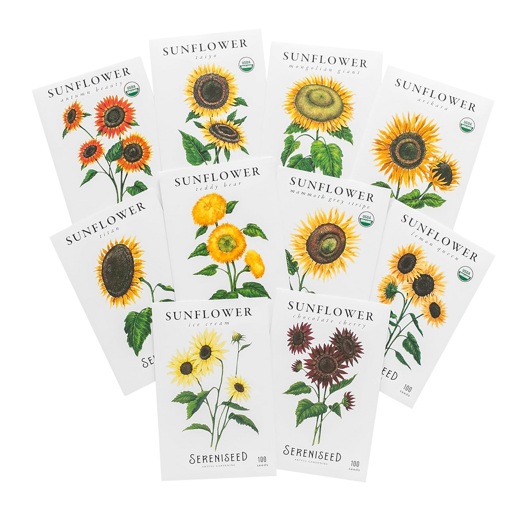 Sunflower Seeds (10-Pack)