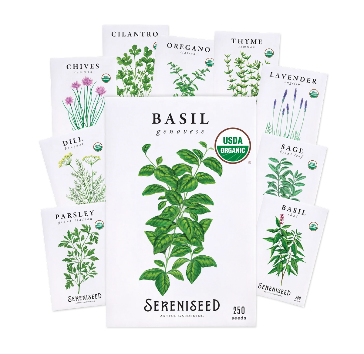 Organic Herb Seeds (10-Pack)