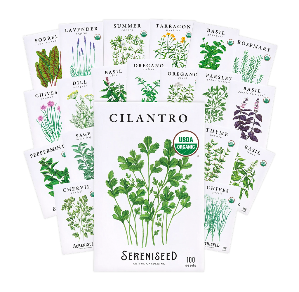 Organic Herb Seeds (20-Pack)