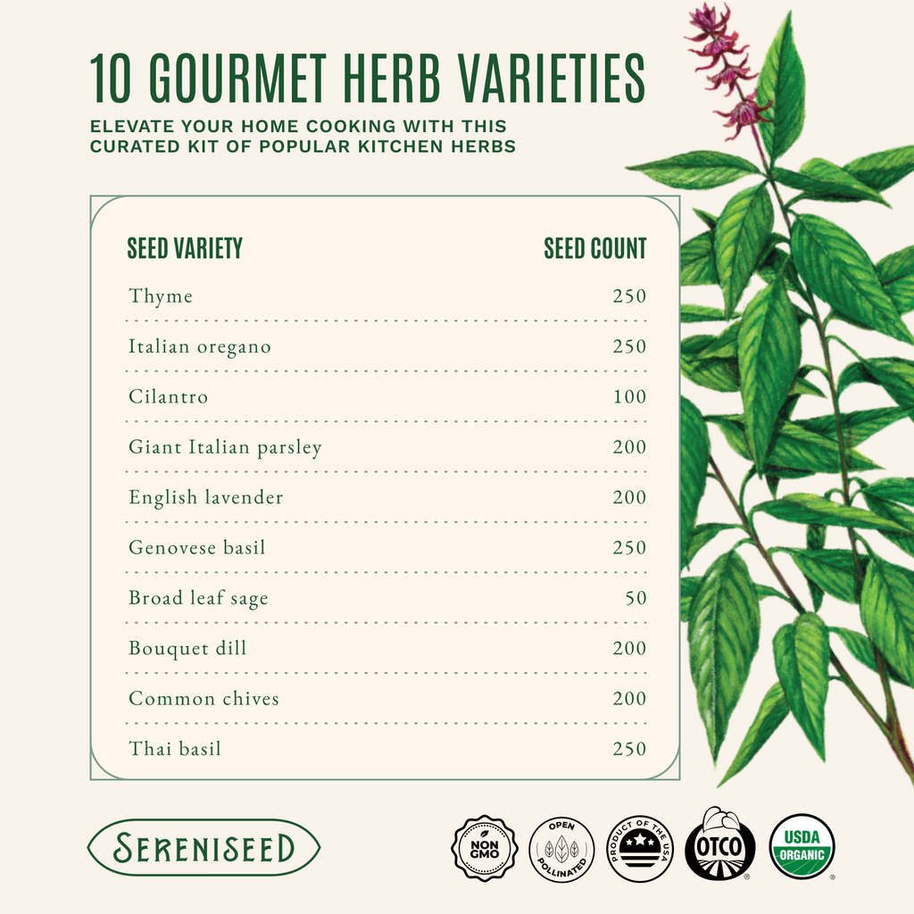 Organic Herb Seeds (10-Pack)
