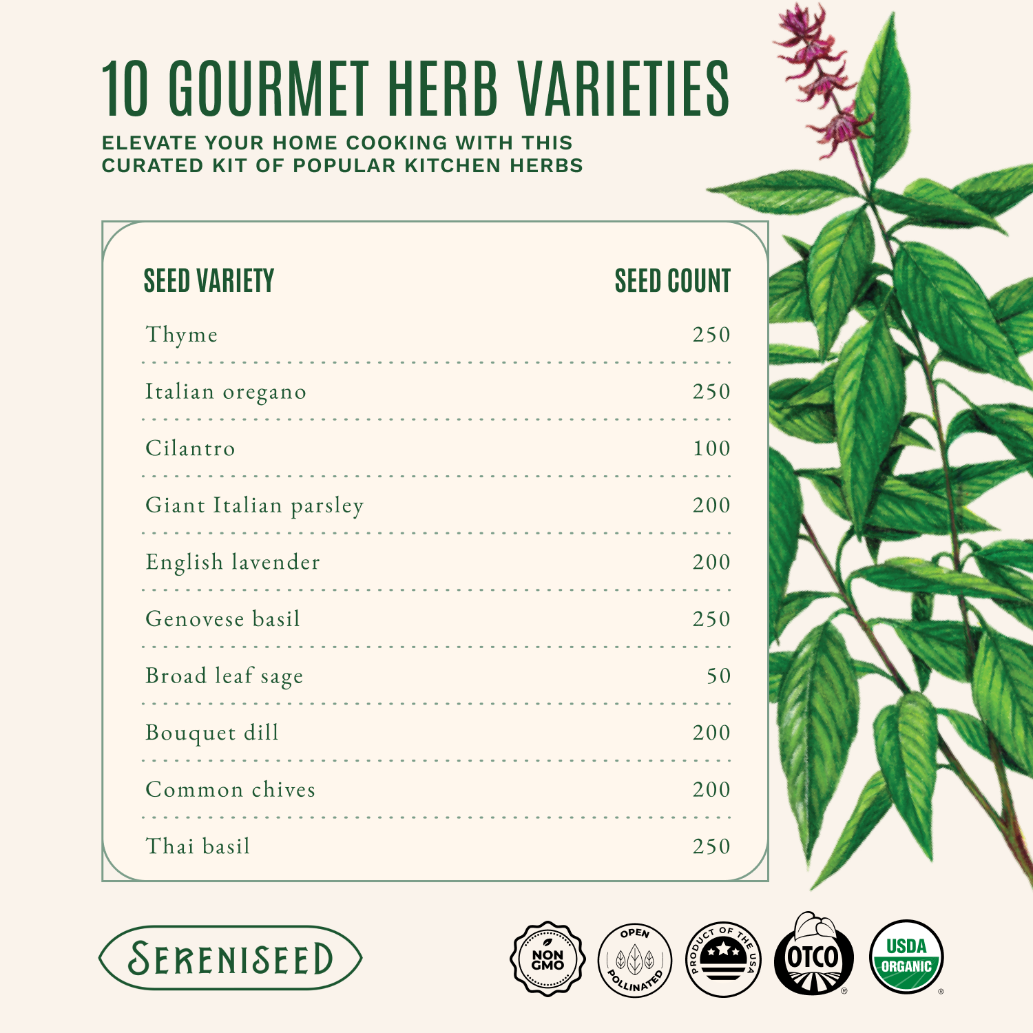 Organic Herb Seeds (10-Pack)