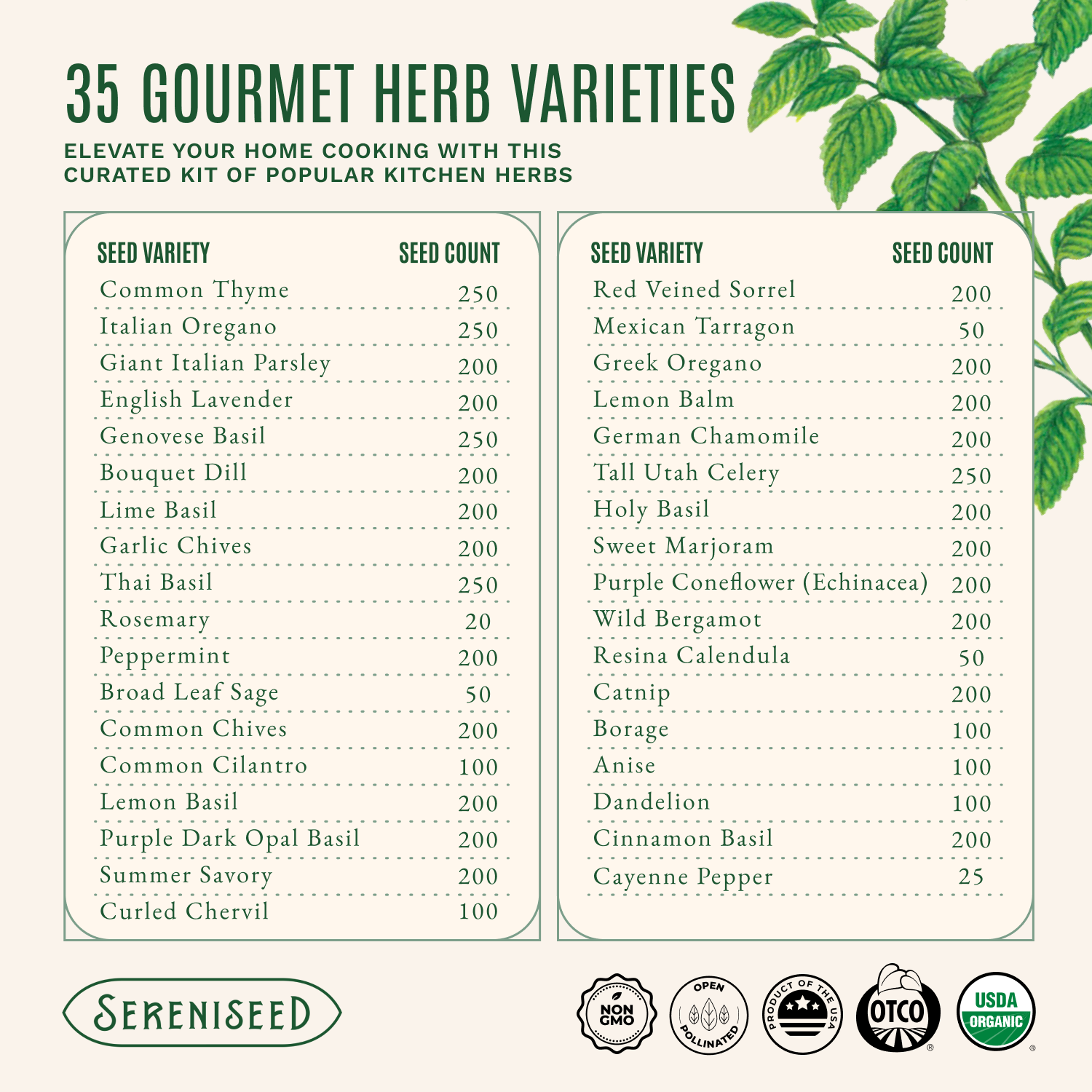 Organic Herb Seeds (35-Pack)