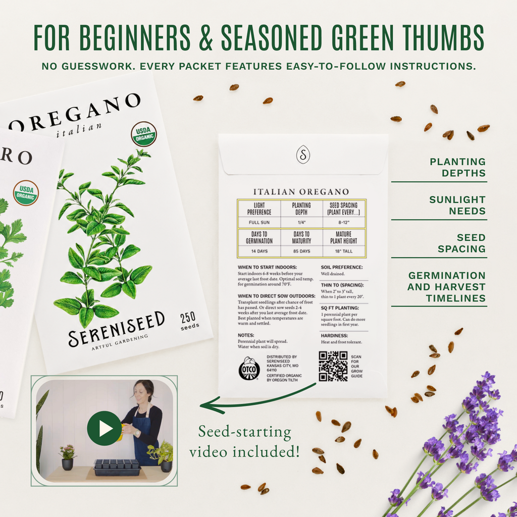 Organic Herb Seeds (10-Pack)