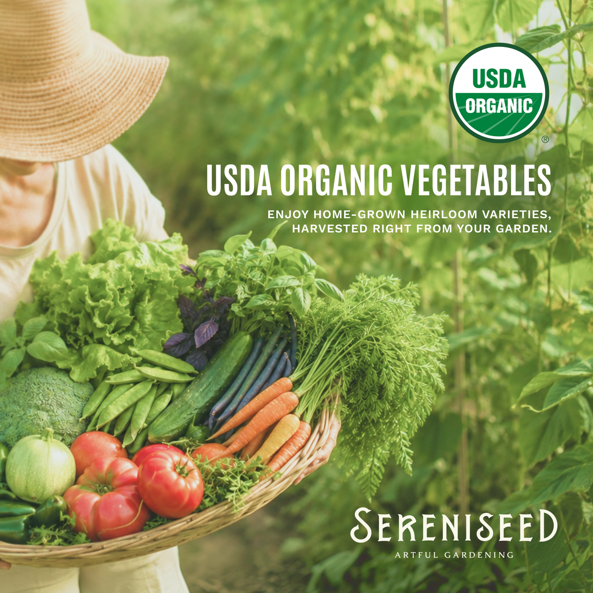 Organic Vegetable Seeds (40-Pack)