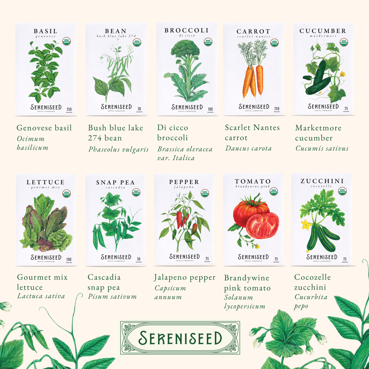 Organic Vegetable Seeds (40-Pack)