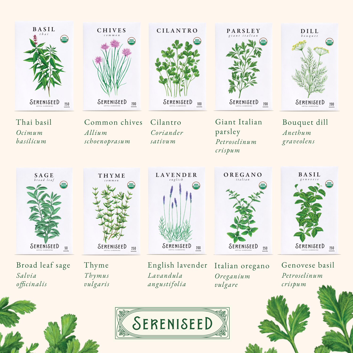 Organic Herb Seeds (20-Pack)