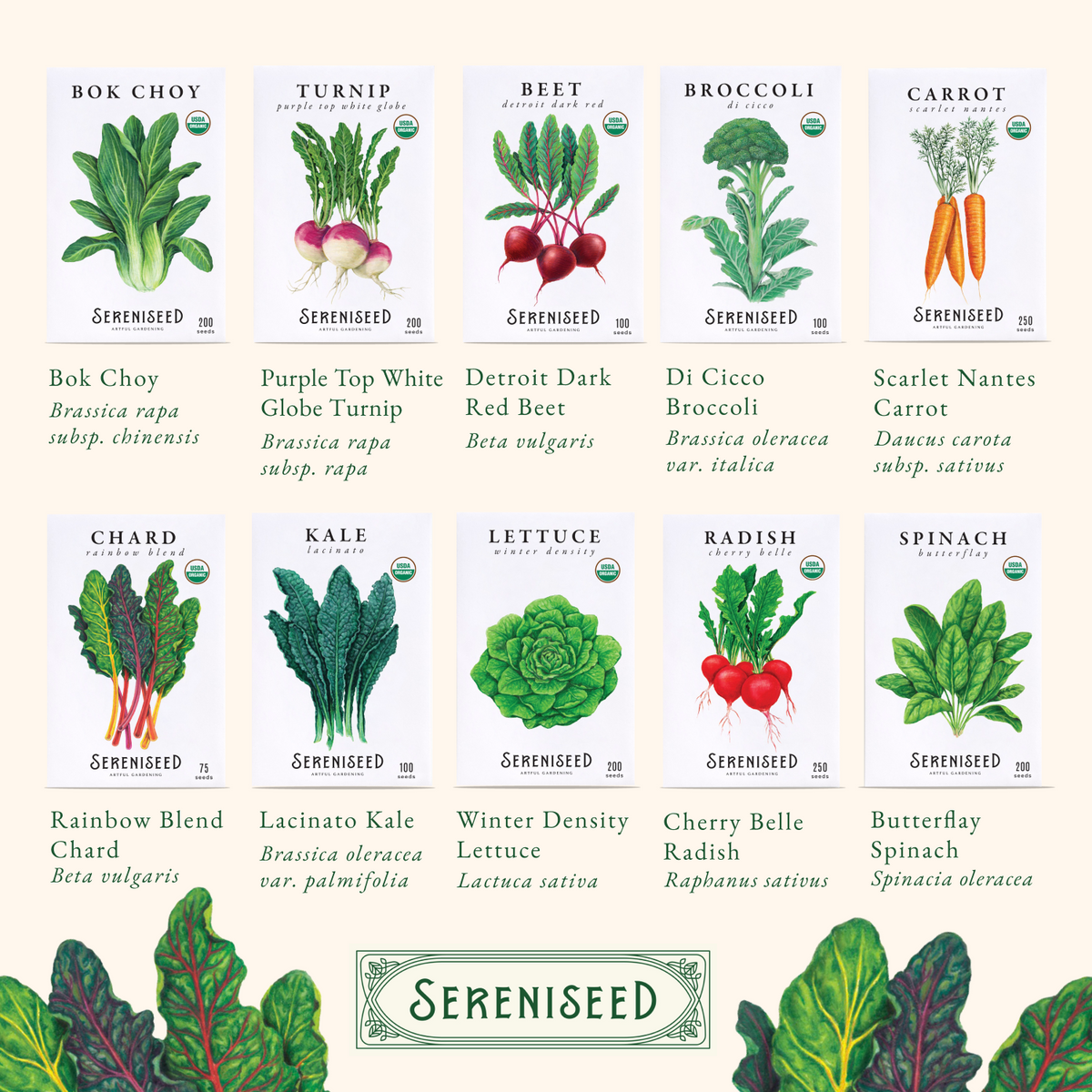 Certified USDA Organic Fall Vegetable Seeds 40-Pack