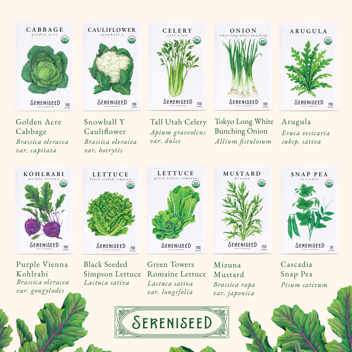 Certified USDA Organic Fall Vegetable Seeds 20-Pack