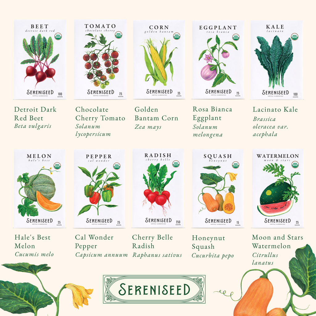 Organic Vegetable Seeds (20-Pack)