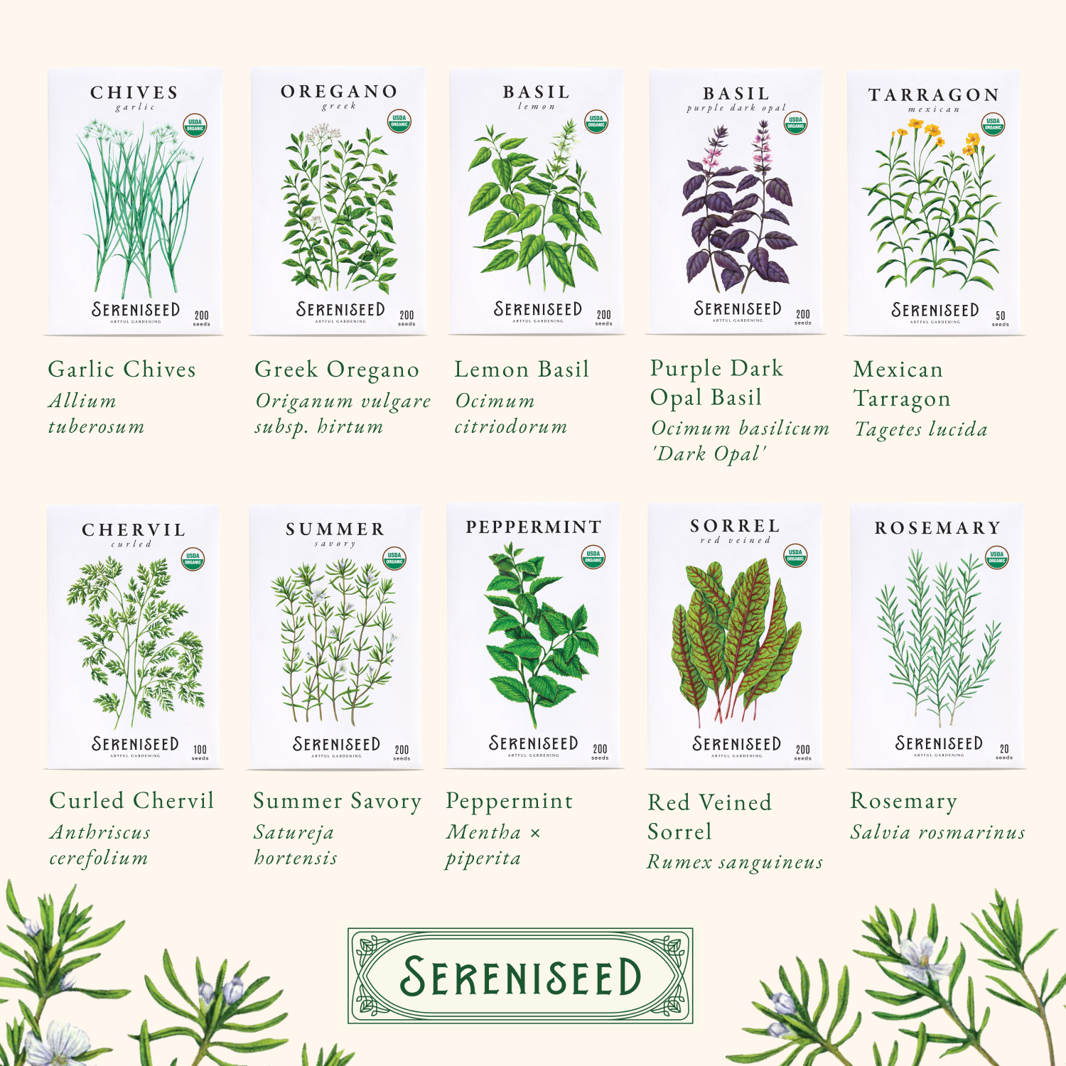 Organic Herb Seeds (35-Pack)