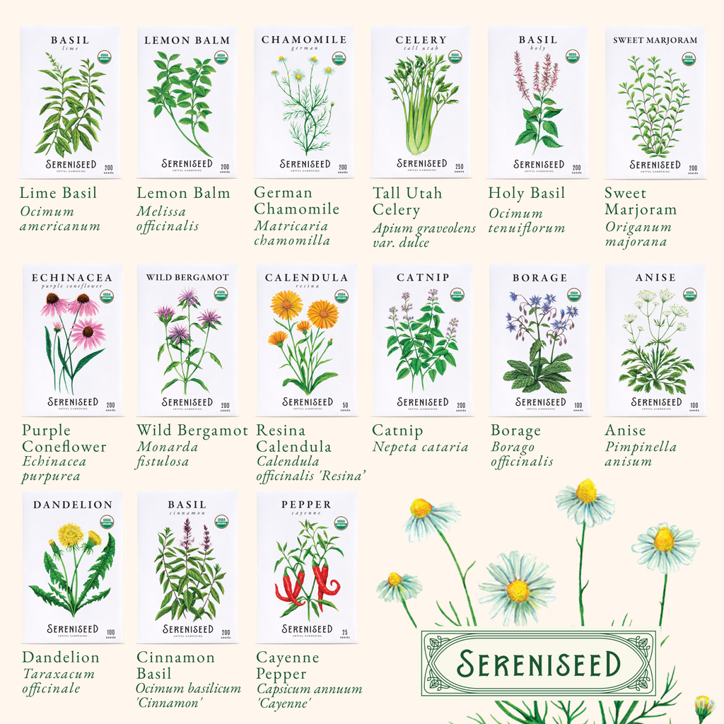 Organic Herb Seeds (35-Pack)