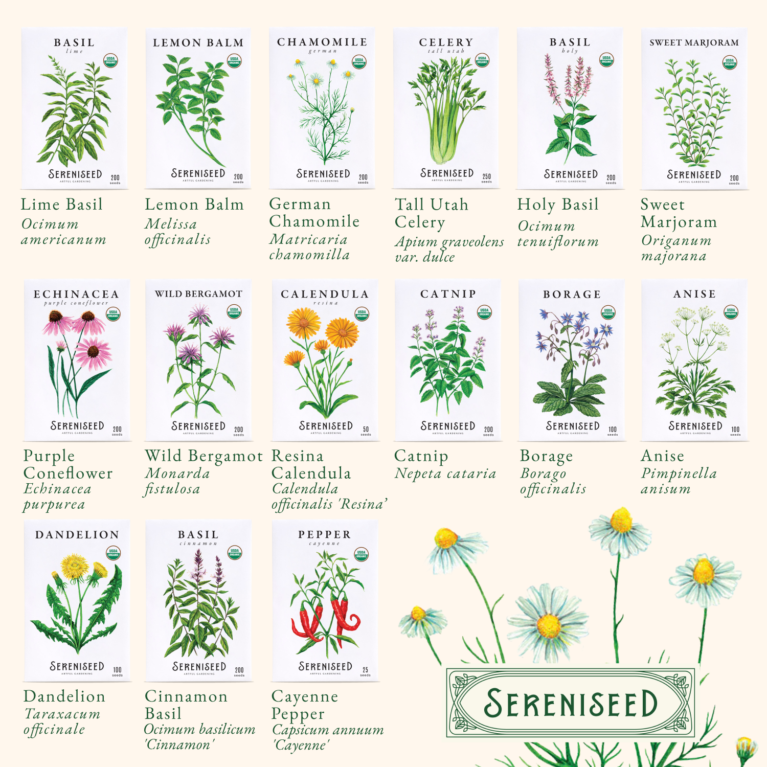 Organic Herb Seeds (35-Pack)