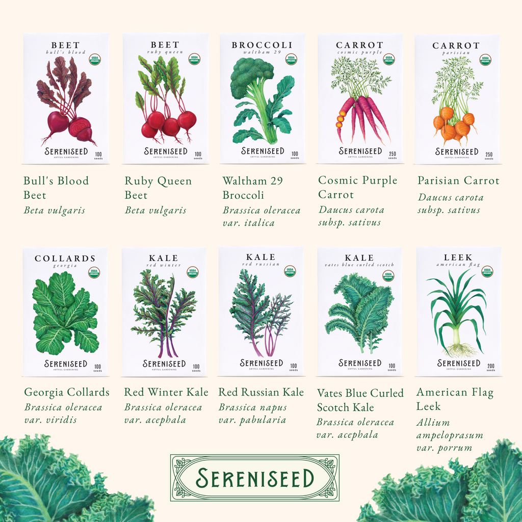 Certified USDA Organic Fall Vegetable Seeds 40-Pack