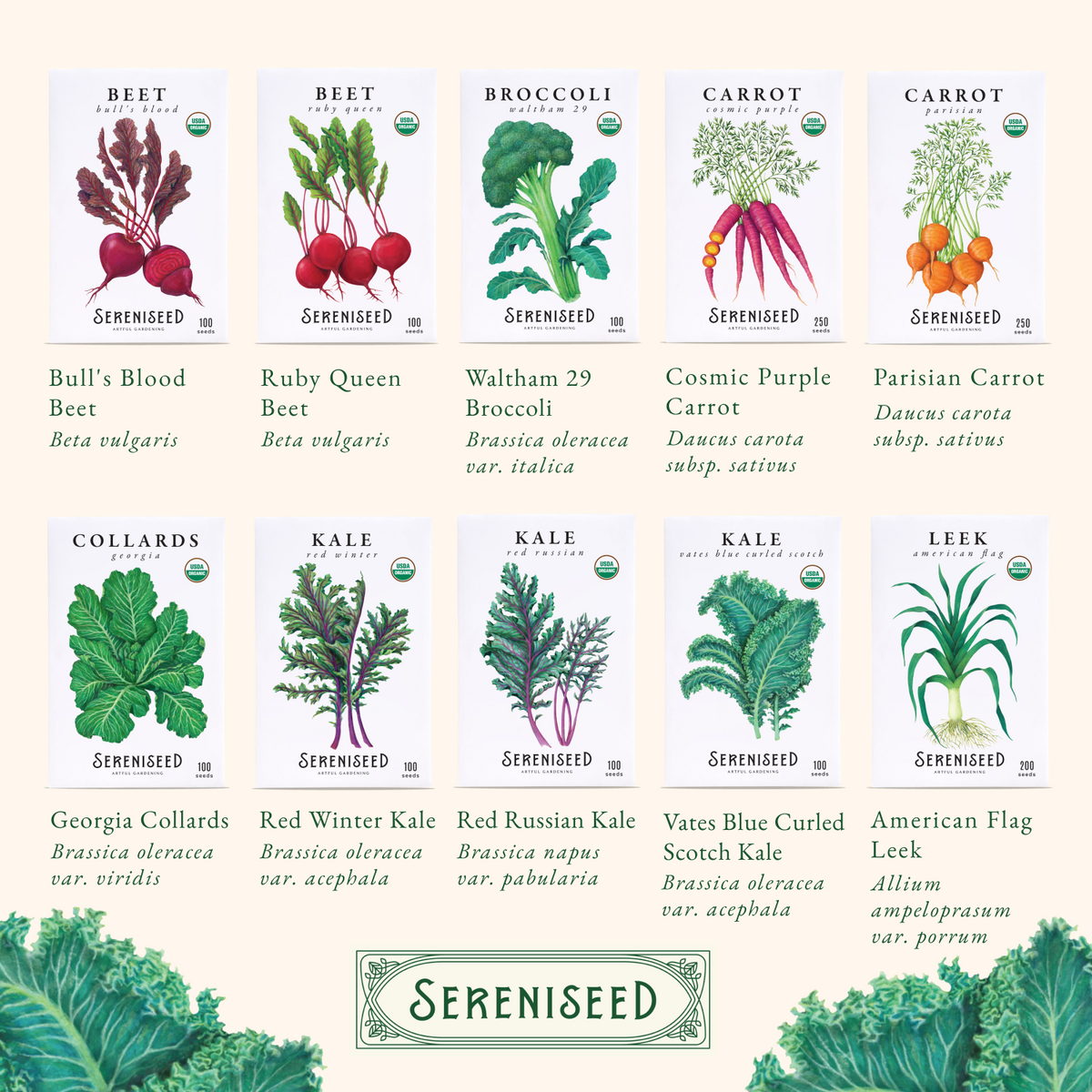 Certified USDA Organic Fall Vegetable Seeds 40-Pack