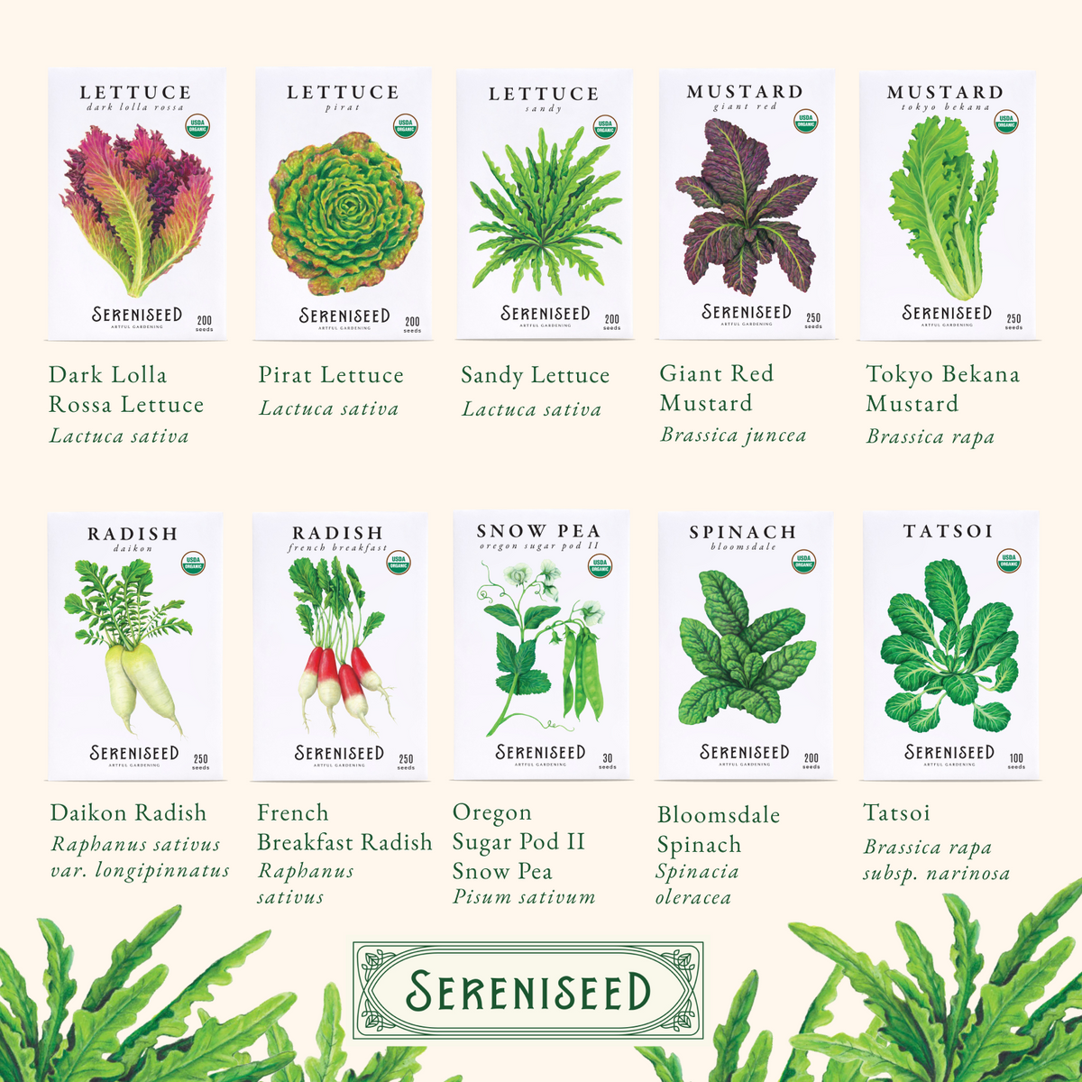 Certified USDA Organic Fall Vegetable Seeds 40-Pack