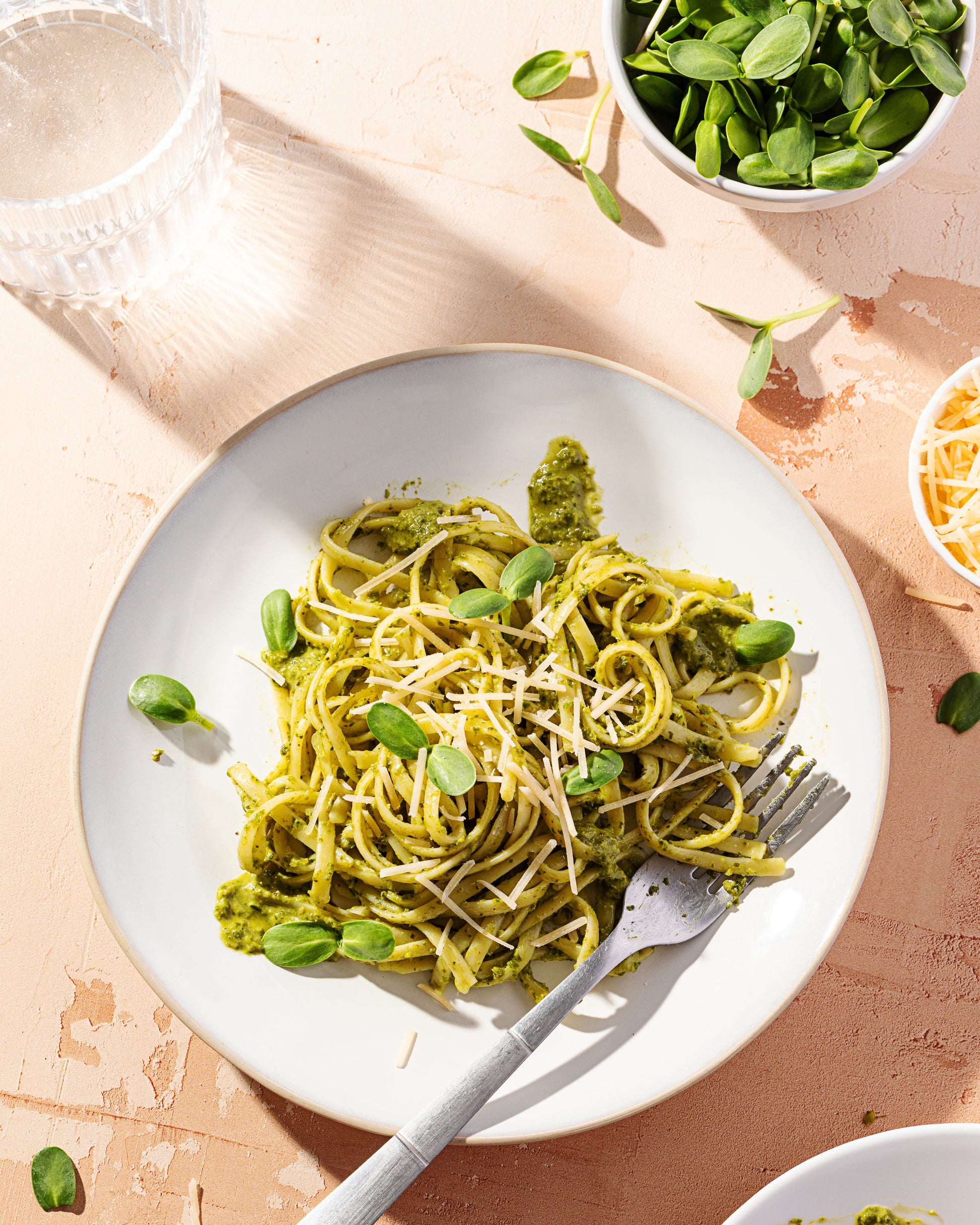 Organic Sunflower Sprouting Seeds (8 ounce)