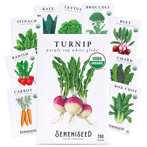 Certified USDA Organic Fall Vegetable Seeds 10-Pack