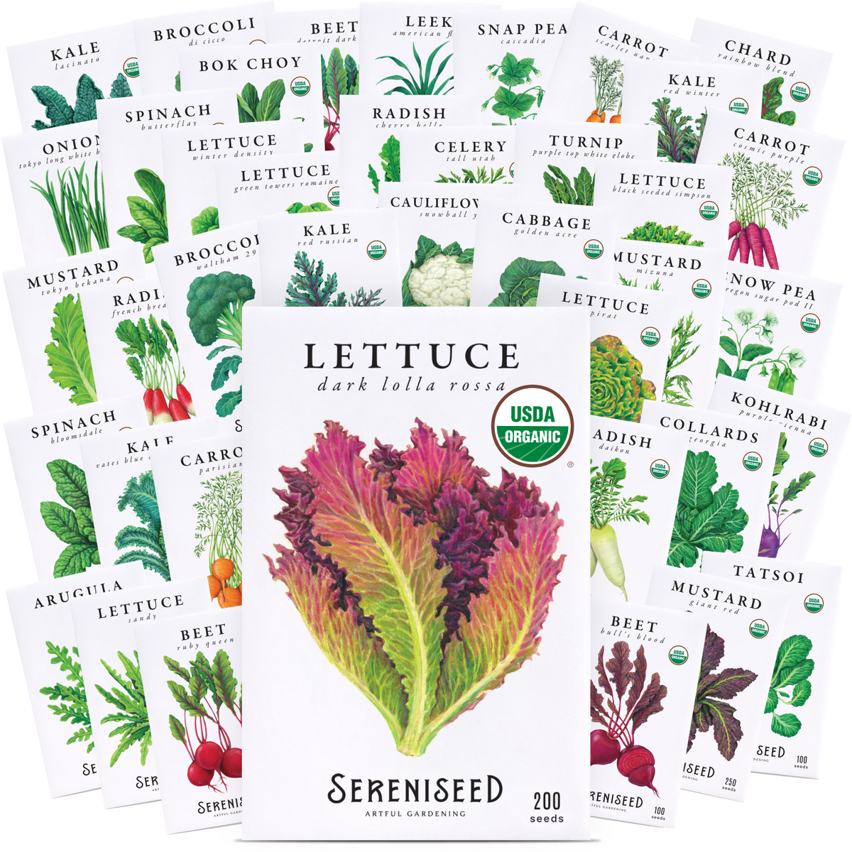 Certified USDA Organic Fall Vegetable Seeds 40-Pack