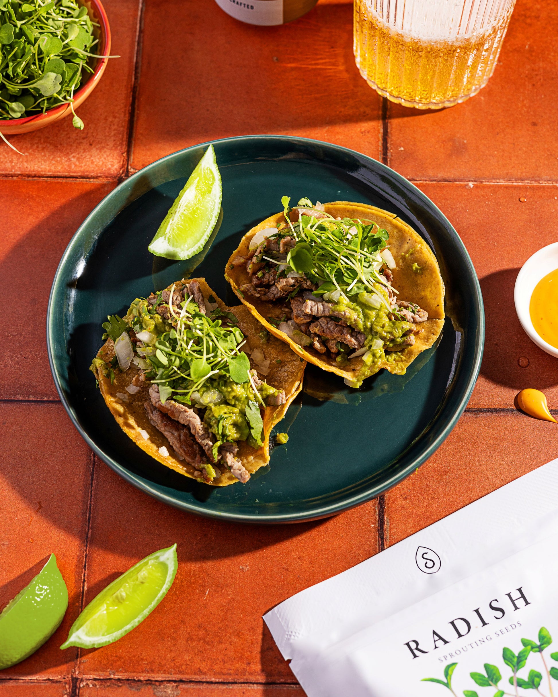 Organic Radish Sprouting Seeds (16 ounce)