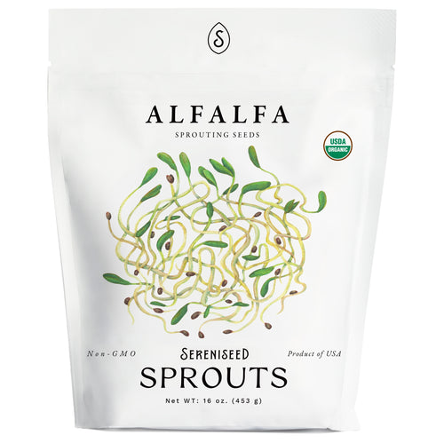 Organic Alfalfa Sprouting Seeds (16 ounce)