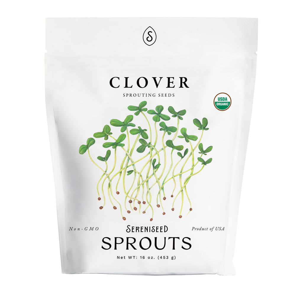 Organic Clover Sprouting Seeds (16 ounce)