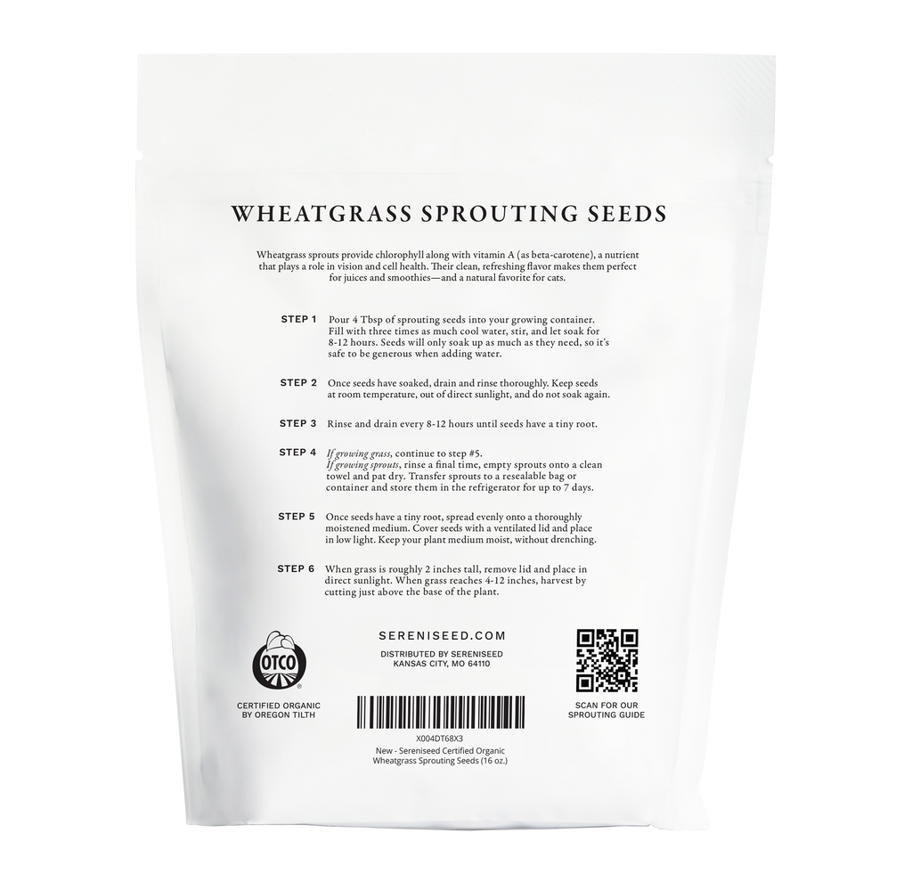 Organic Wheatgrass Seeds (16 ounce)