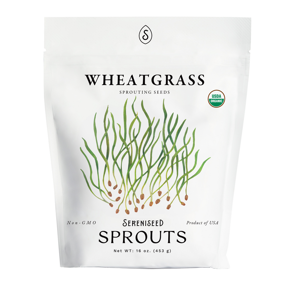 Organic Wheatgrass Seeds (16 ounce)
