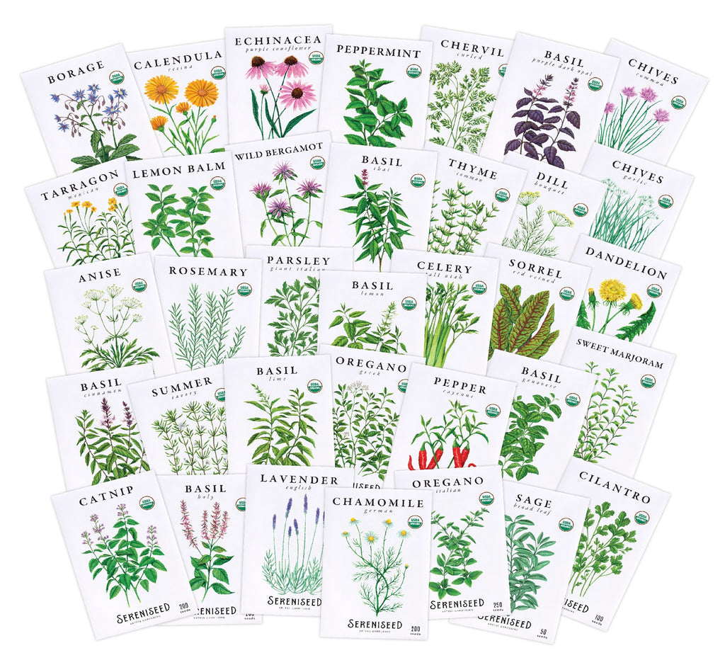 Organic Herb Seeds (35-Pack)