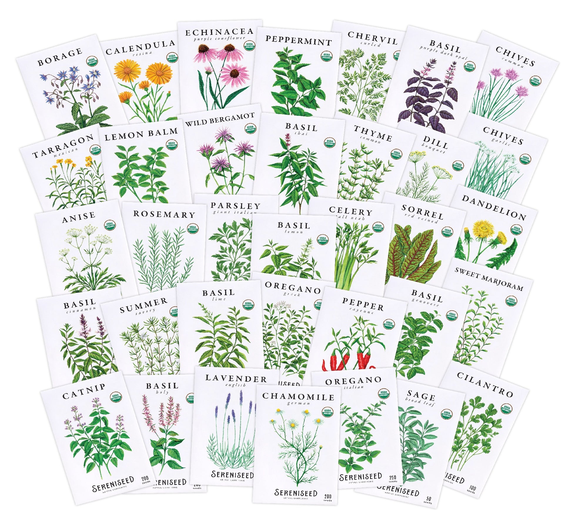 Organic Herb Seeds (35-Pack)
