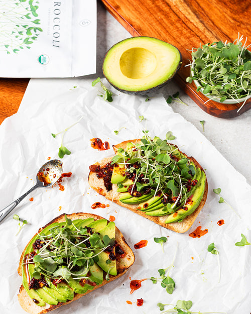 Organic Broccoli Sprouting Seeds (8 ounce)