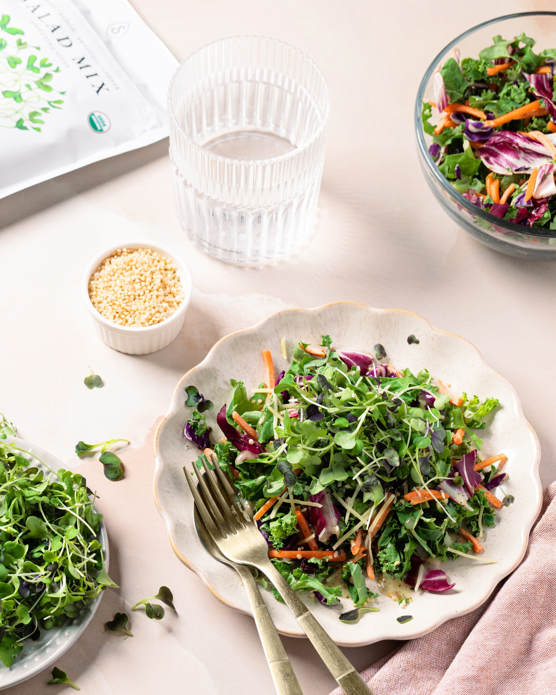 Organic Salad Mix Sprouting Seeds (16 ounce)