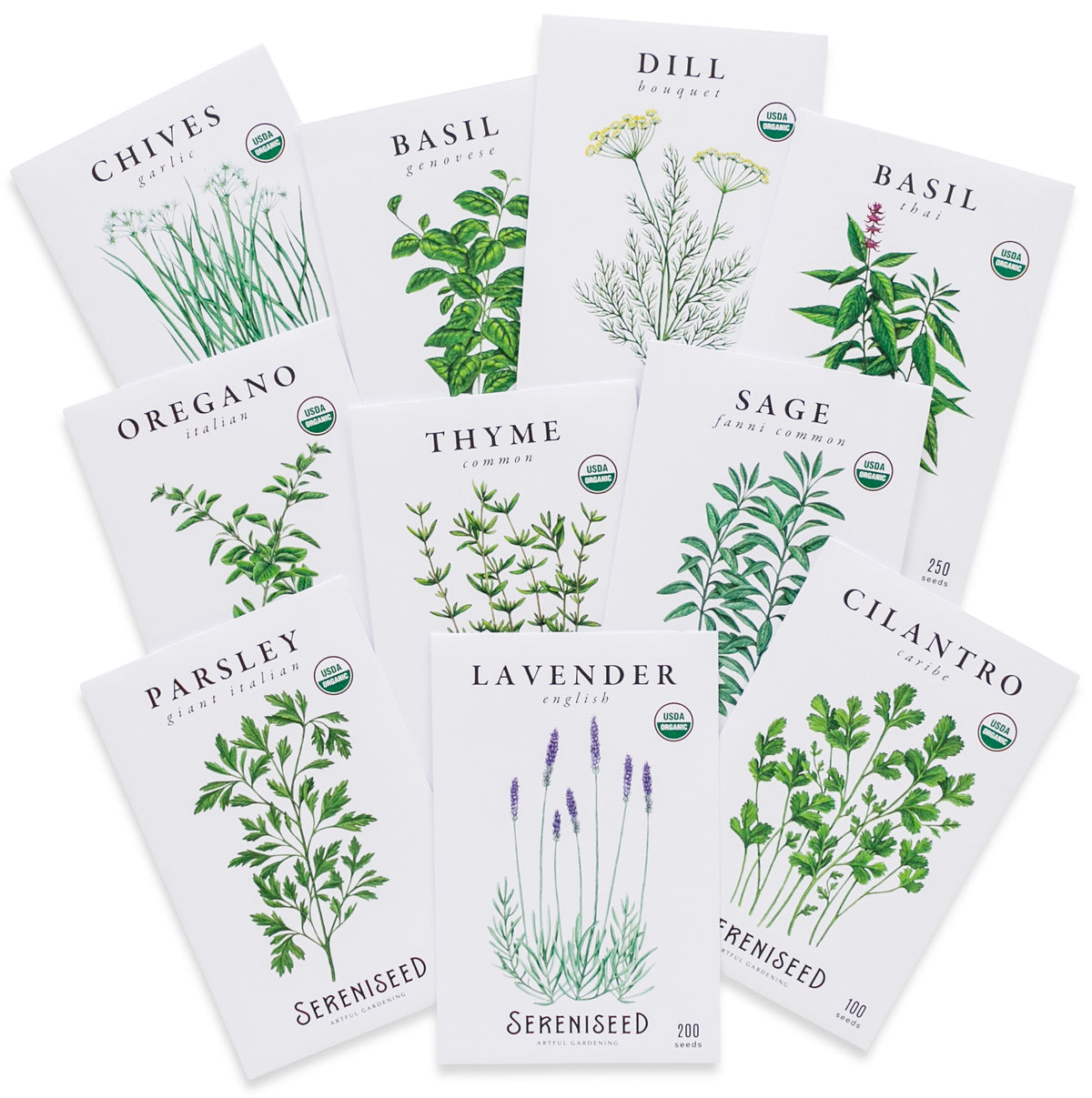 Herb Seed Collection (10-Pack)
