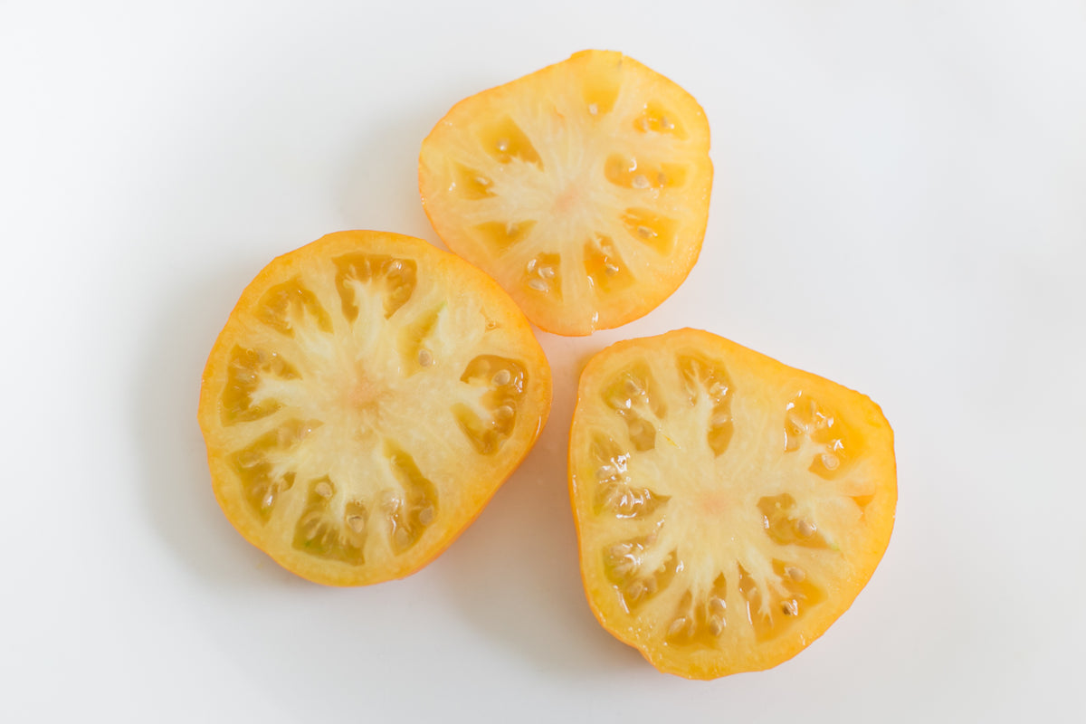 Tomato Seed Collection (10-Pack)