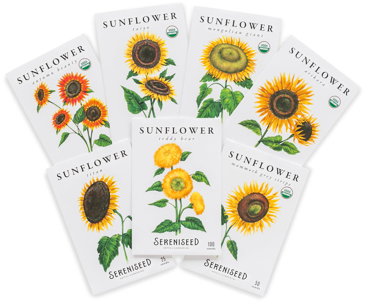 Sunflower Seed Collection (7-Pack)